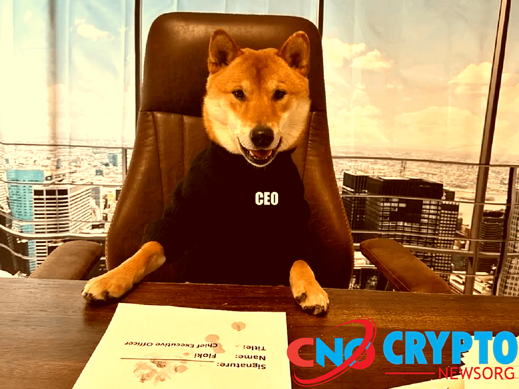 DOGE CEO